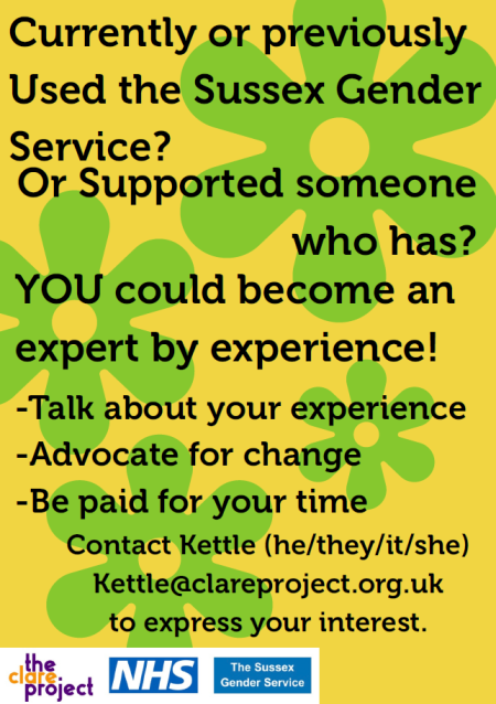 Or supported someone who has? YOU could become an expert by experience! Talk about your experience. Advocate for change. Be paid for your time. Contact Kettle (he/they/it/she) Kettle@clareproject.org.uk to express your interest.