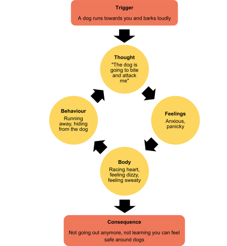 A diagram showing an anxiety cycle about phobias using a phobia of dogs as an example. At the top, an orange box says “Trigger: A dog runs towards you and barks loudly.” Below it, there are four yellow circles joined in a loop with black arrows. The first circle says “Thought: The dog is going to bite and attack me.” The second circle says “Feelings: anxious, panicky.” The third circle says “Body: racing heart, feeling dizzy, feeling sweaty.” The fourth circle says “Behaviour: running away, hiding from the dog.” The arrows show how each circle leads to the next and keeps going round in a circle. At the bottom, an orange box says “Consequence: not going out anymore, not learning you can feel safe around dogs.”