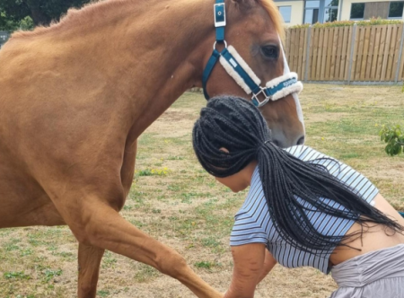 Young person stroking a horses leg.png