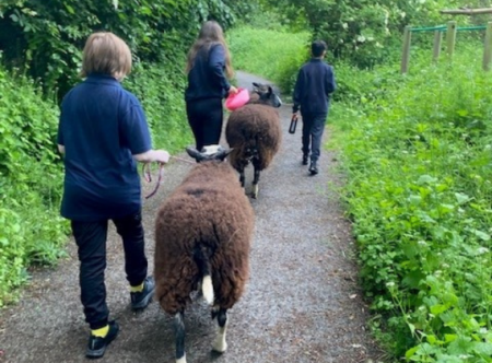 Three young people walking two black sheep along a path