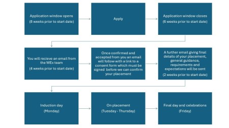 Work experience flow chart.jpg
